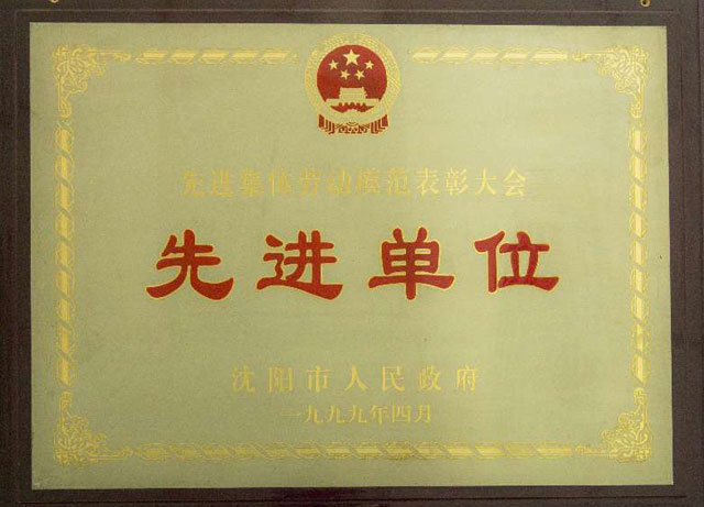 沈陽市先進單位